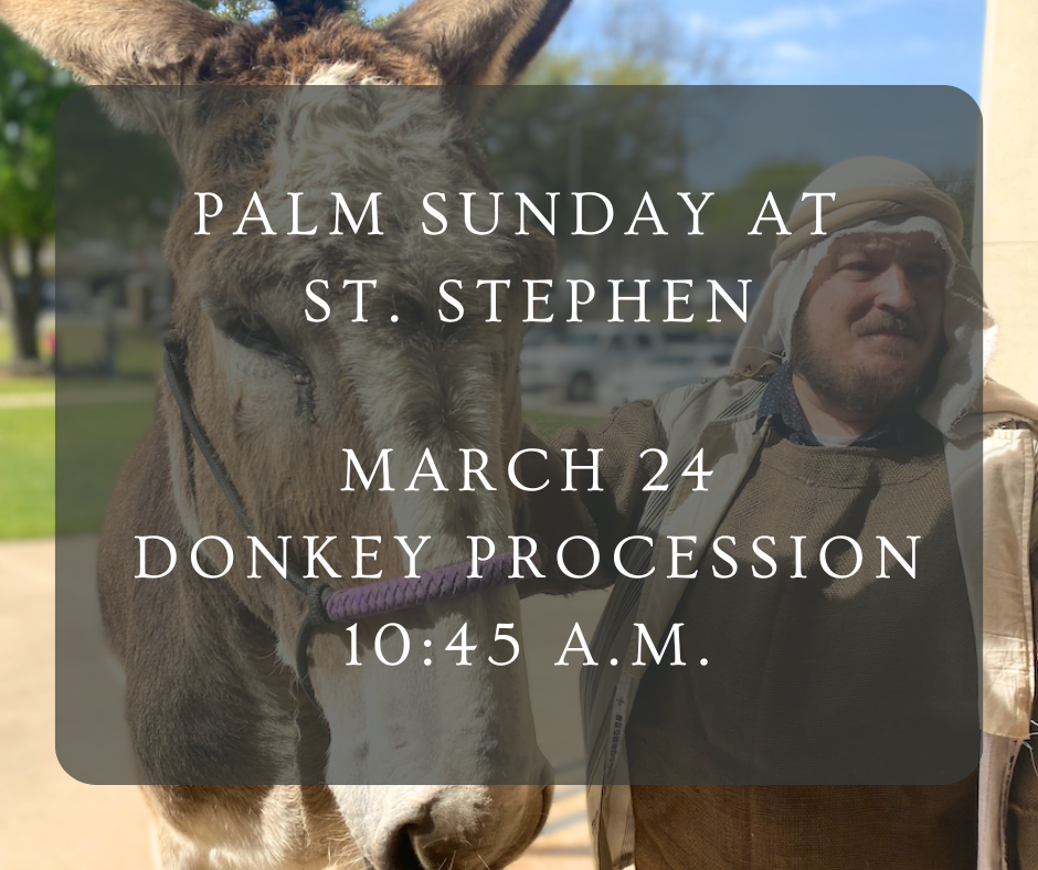 donkey palm sunday