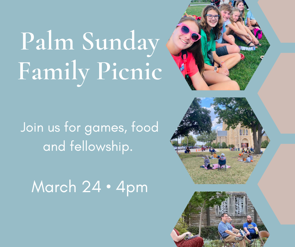 st stephen palm sunday family picnic